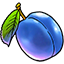 pet fruit