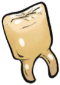 Wisdom Tooth