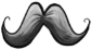 Fake Mustache